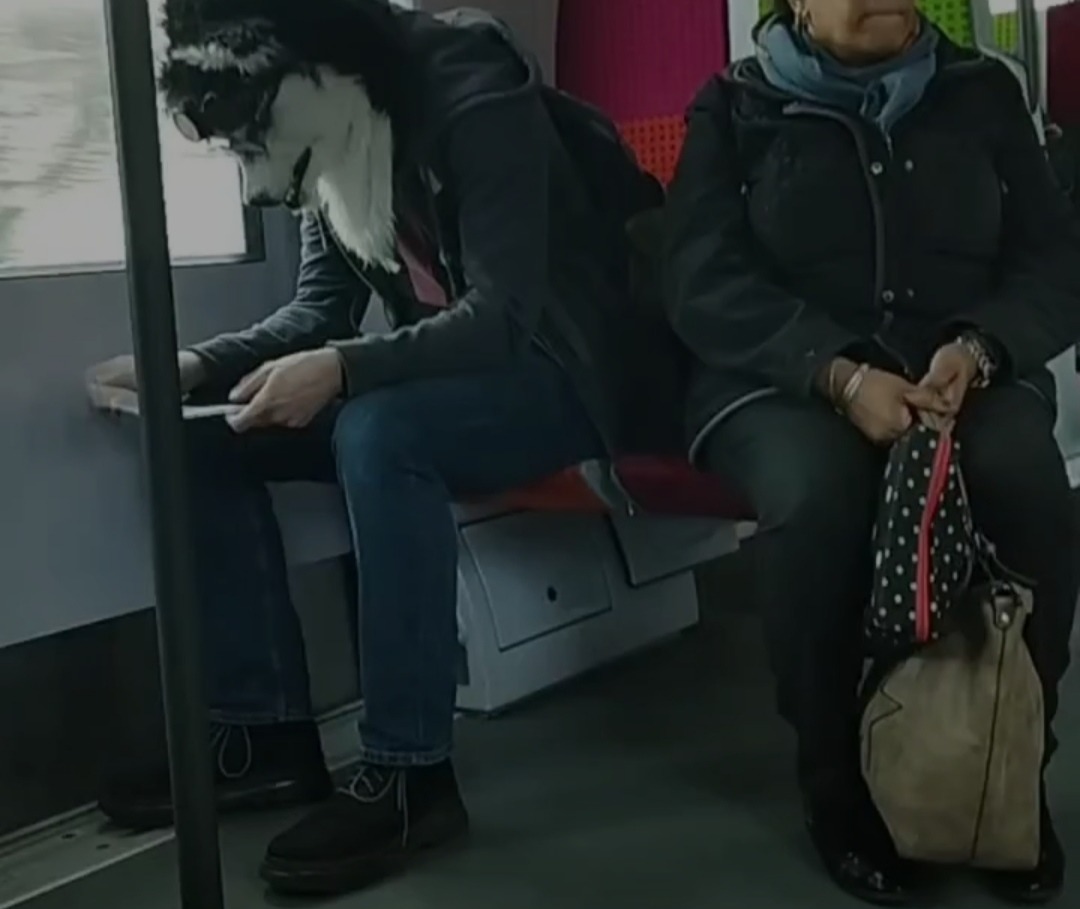 Furro detectado en el Metro - meme