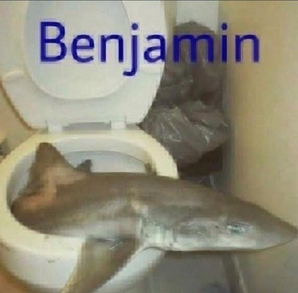 Benjamin - meme