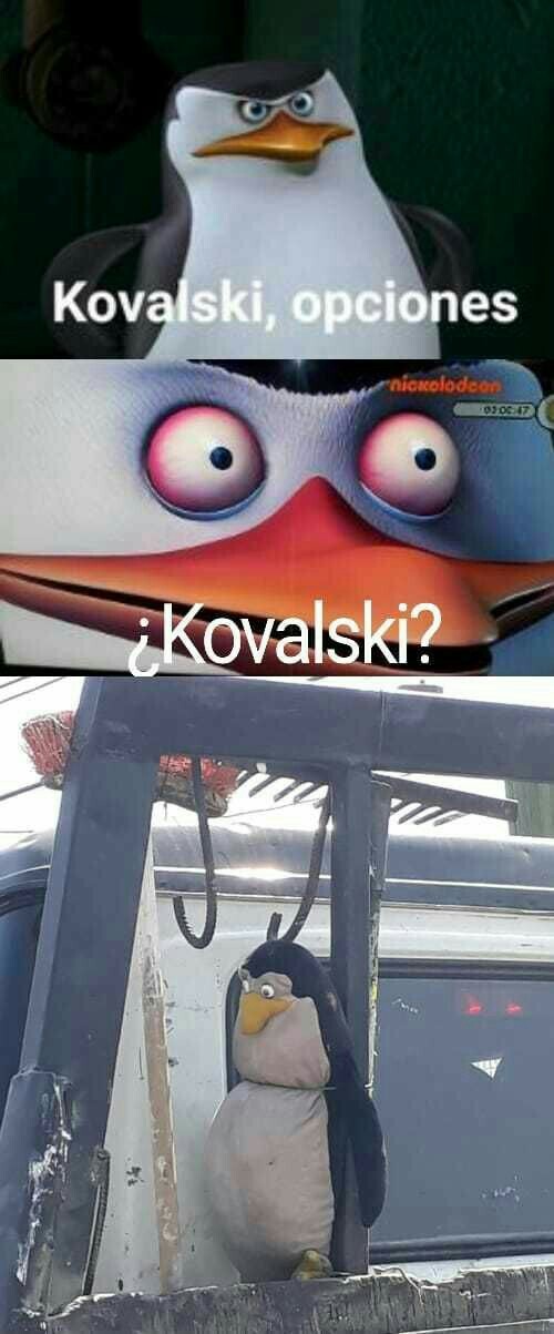 ¿Kovalski? - meme