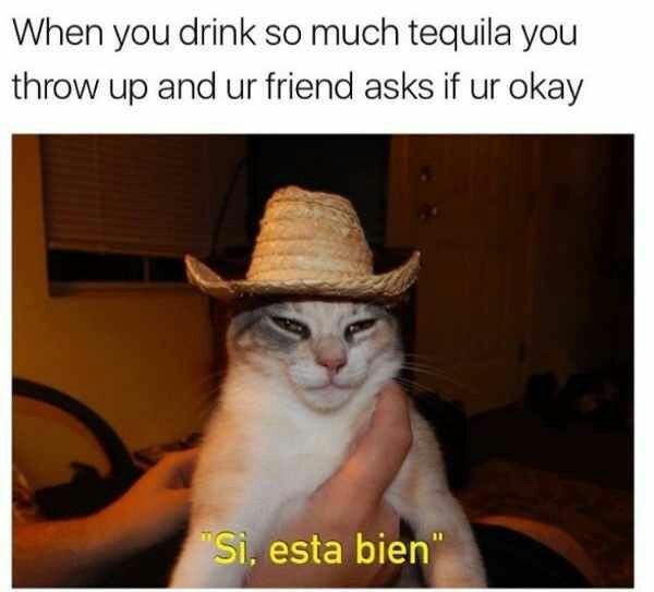 That one song about tequila which ı dont remeber its full name - meme