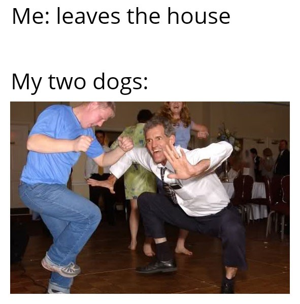Doggo memes