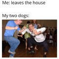 Doggo memes