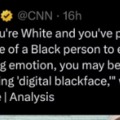 CNN = Comedy Nigger Network