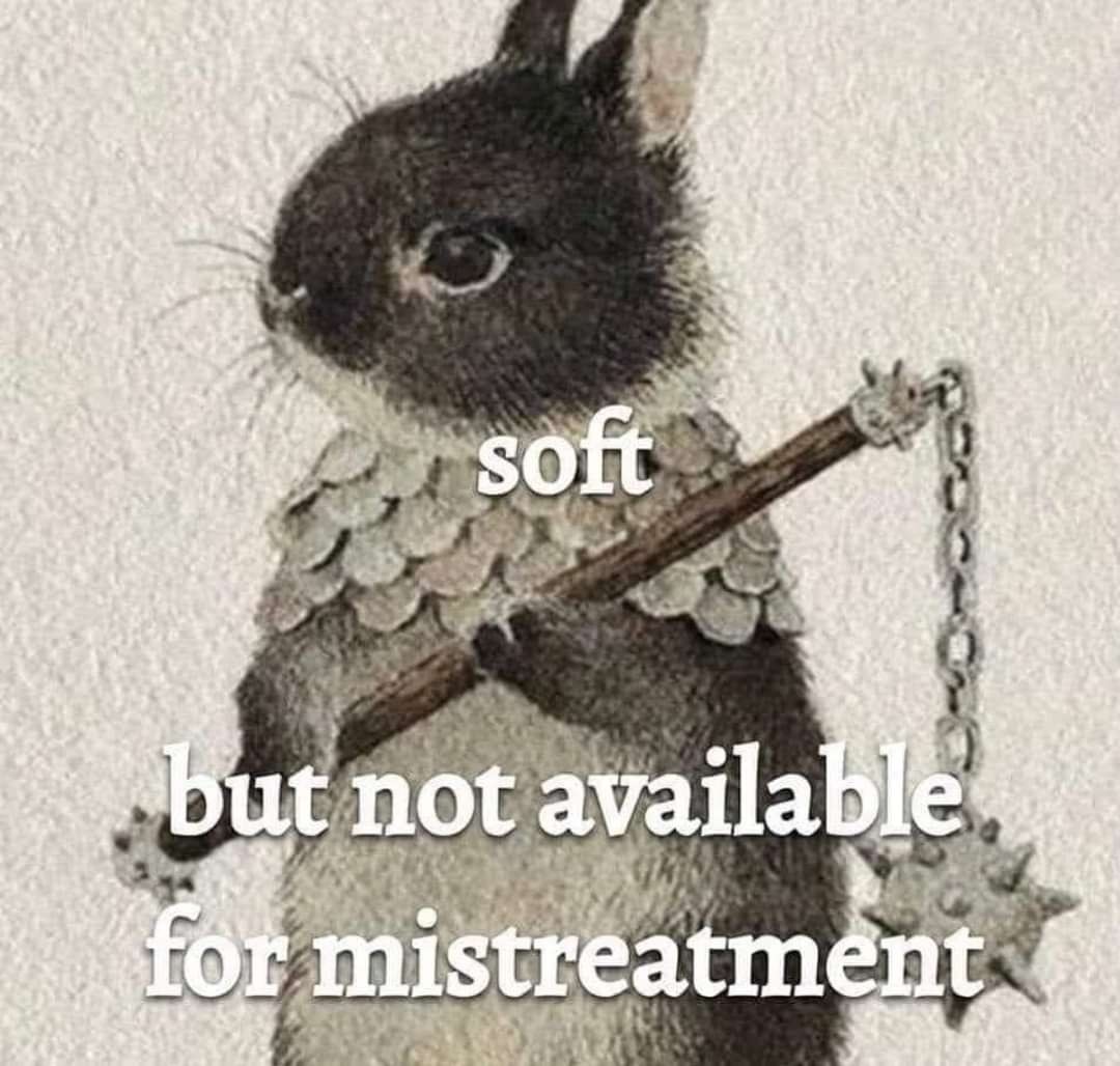 Go bunny! Let's set boundaries hard! - meme
