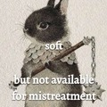 Go bunny! Let's set boundaries hard!