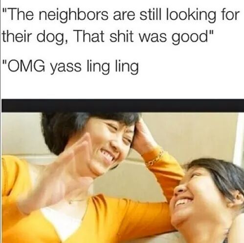 should i be scared cuz my neighbors are chinese and i have a dog - meme