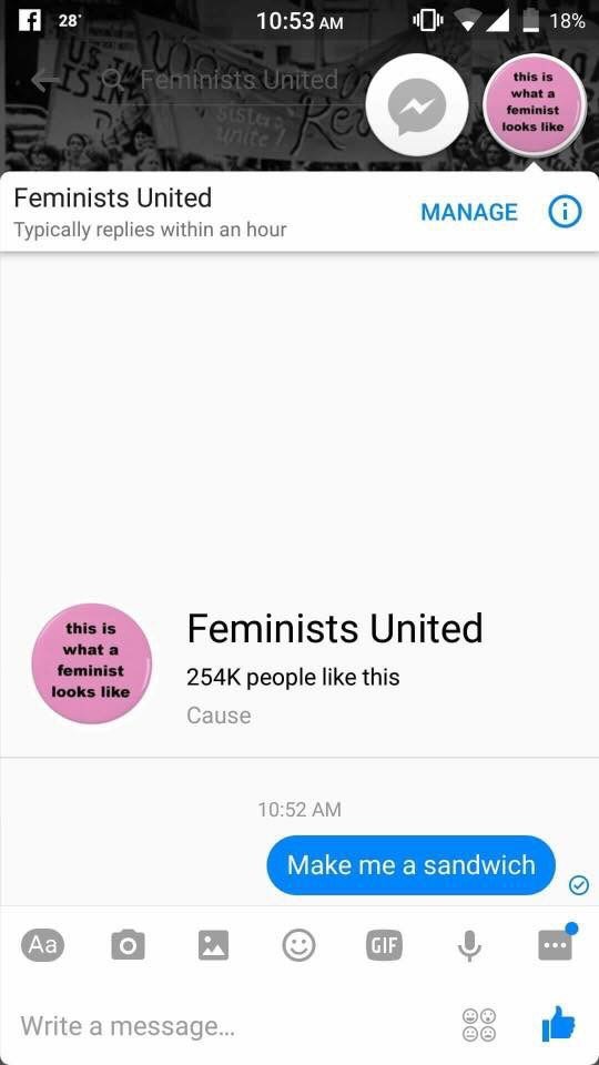 Fuck off feminists - meme