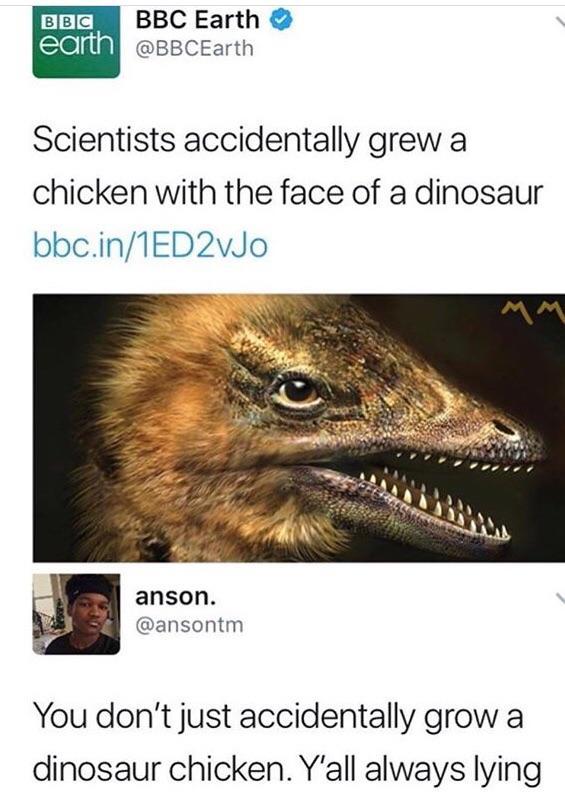 Scientists accidentally grew a chicken with the face of a dinosaur - meme