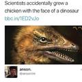 Scientists accidentally grew a chicken with the face of a dinosaur