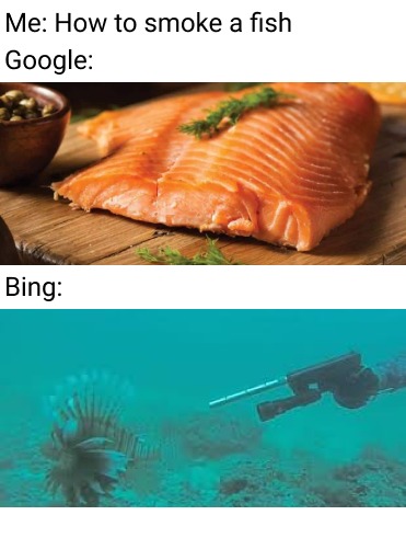 Google vs Bing - meme