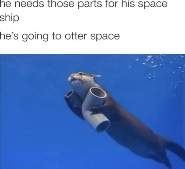Otter space - meme