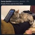 Phone holder cat edition