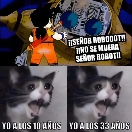 ROBOOOT no te mueras… yo a los 10 y a los 33 - meme