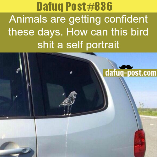 Self portrait on my car - meme