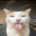 commented item thumbnail