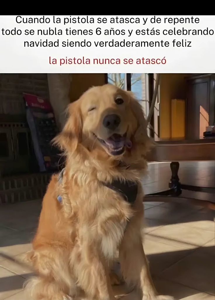 Las cosas siempre mejoran no tomes malas decisiones - meme