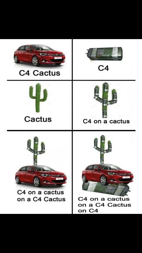 Cactus on a C4 cactus - meme