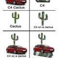 Cactus on a C4 cactus