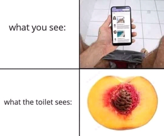 toilet-Kun - meme