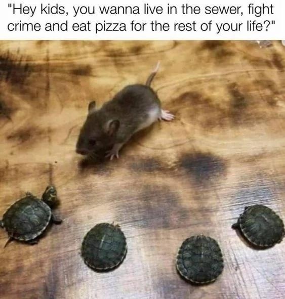Ninja Turtles - meme