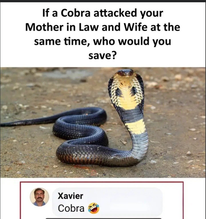Meme 