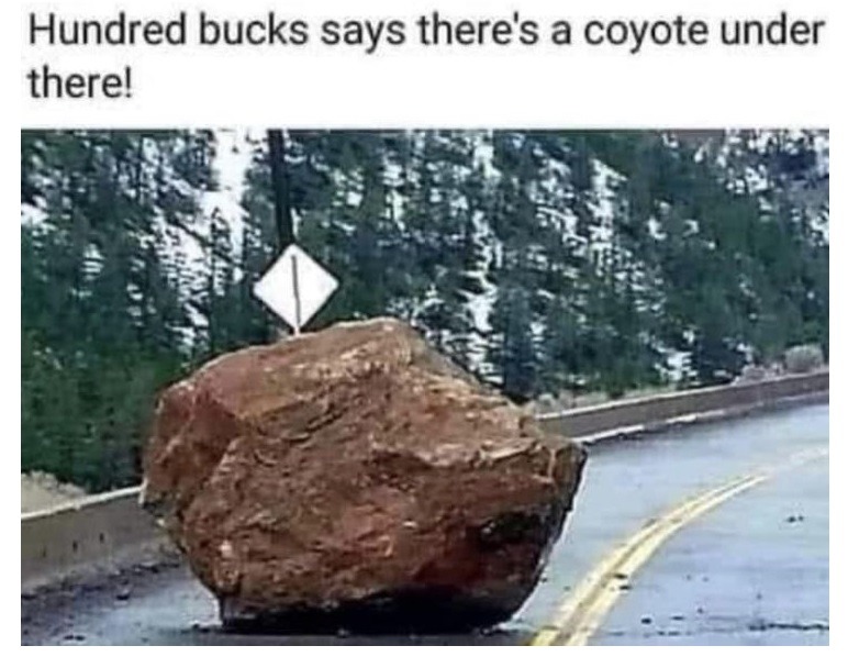 Goodbye Coyote - meme