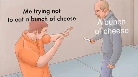 a bunch of cheese - meme