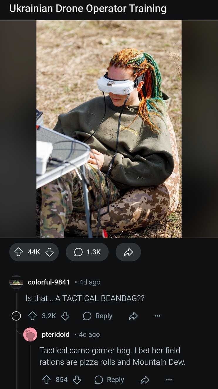 Tactical beanbag acquired. Mission: cozy but deadly - meme