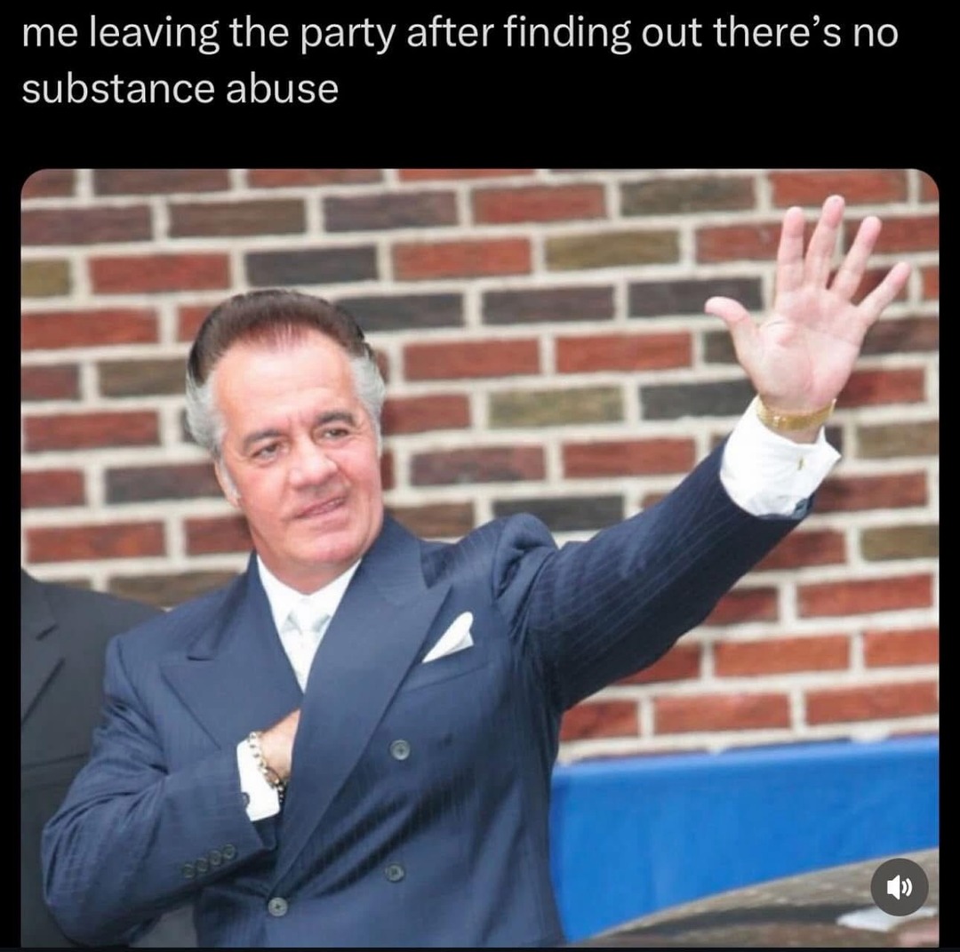 Leaving the party cause it’s just vibes, no vices - meme