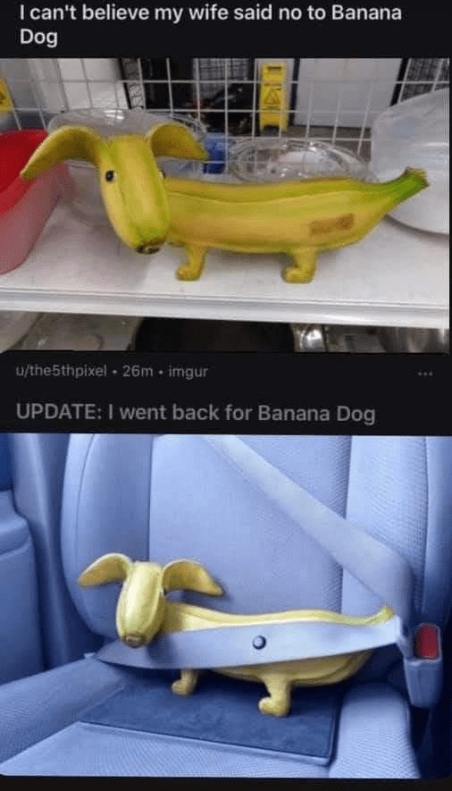 You have to have a glacier as a heart to say no to banana dog - meme
