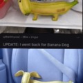 You have to have a glacier as a heart to say no to banana dog