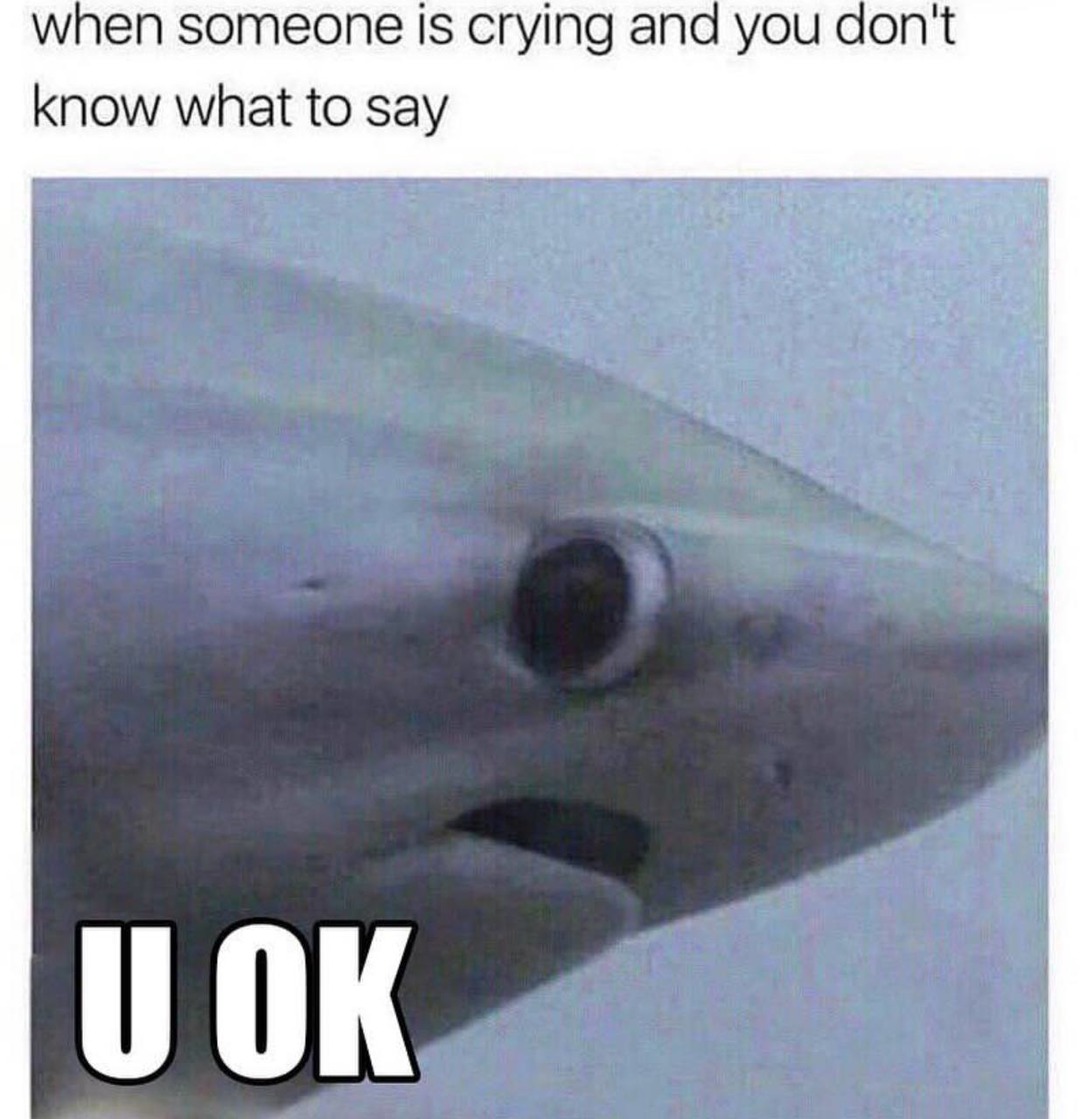 When someone is crying and you don’t know if you should ask if they’re OK - meme