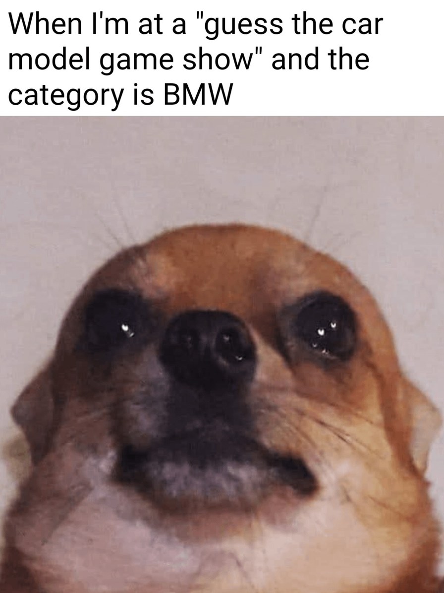 Guess the BMW model? Bro they all look the same - meme