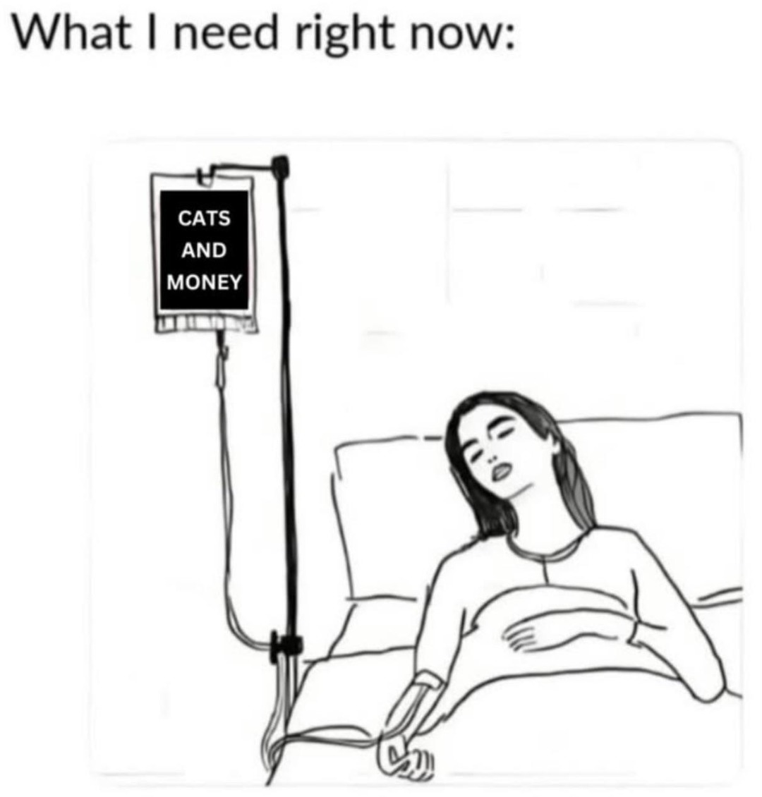 What I really need right now: cats and cash - meme
