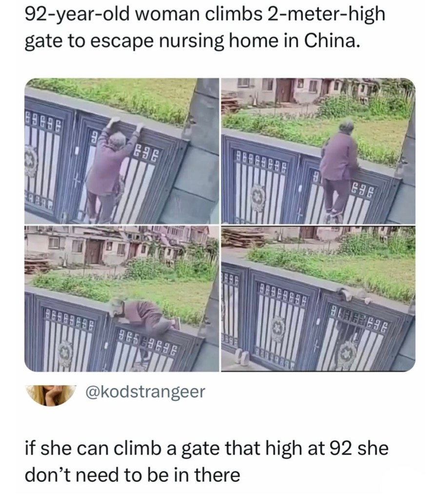 She climbed the gate and my respect at the same time - meme