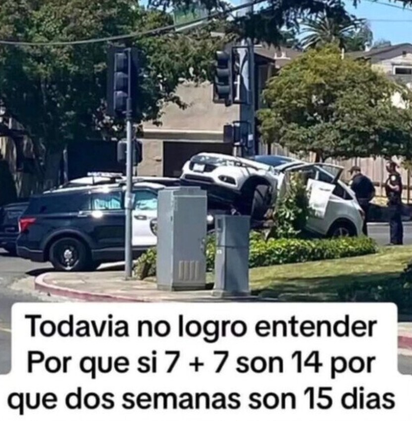 si 7+7 son 14 por qué dos semanas son 15 días explícamelo bro - meme