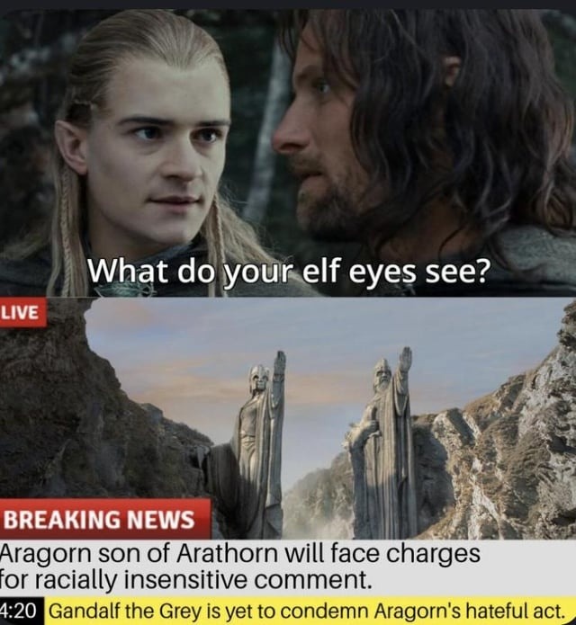 Aragorn under fire for racially insensitive elf comment - meme