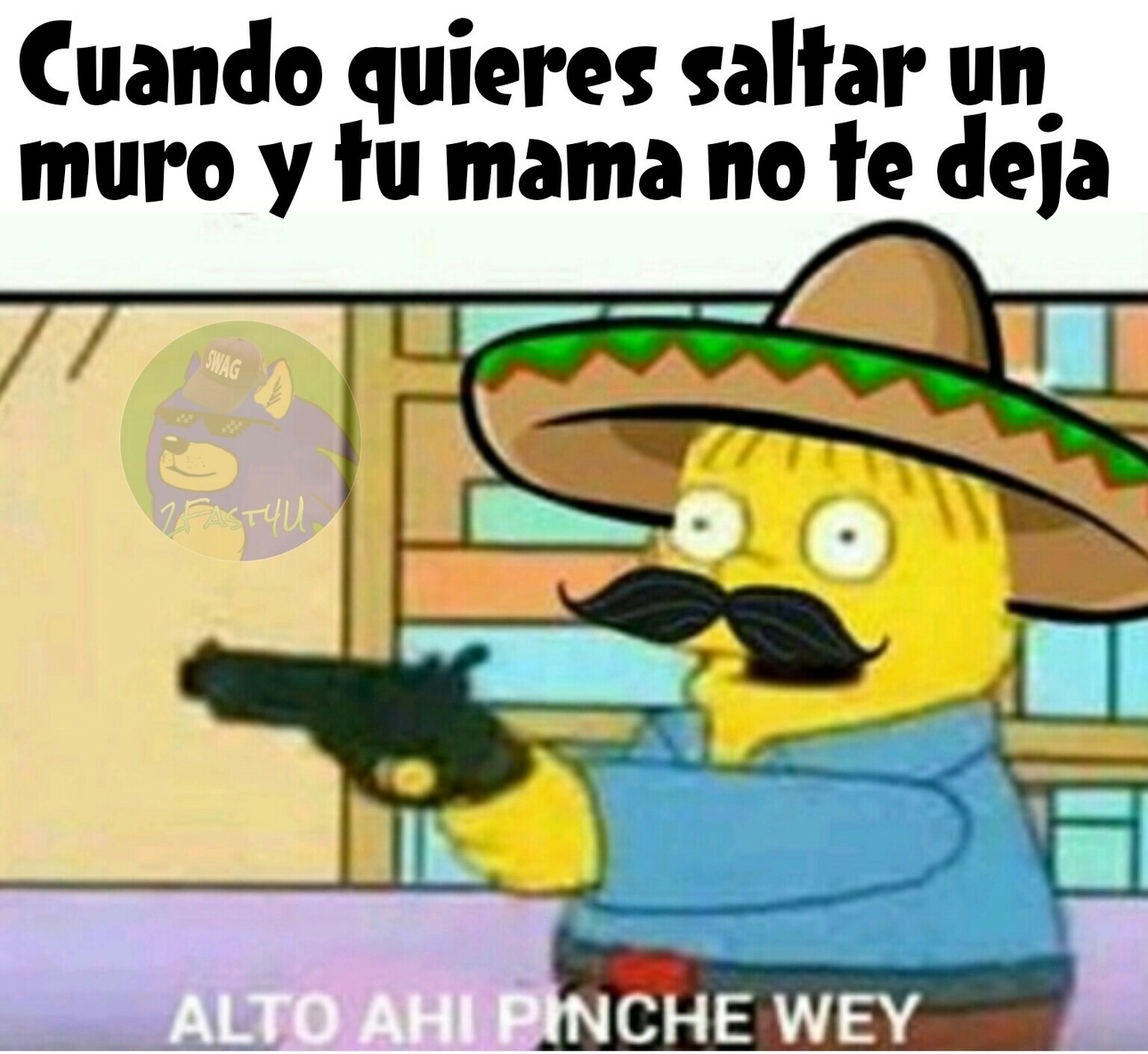 Sin ofender amihos mexicanos ;v - meme