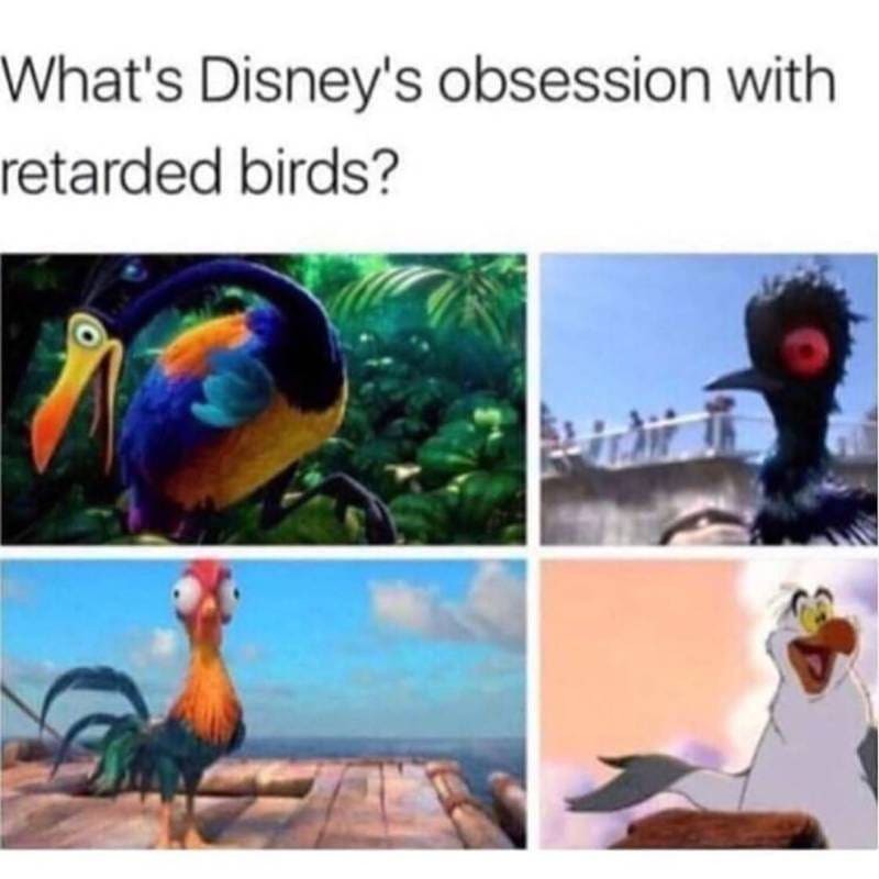 Birdy birdy - meme