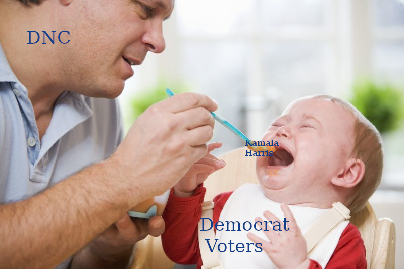 dongs in a voter - meme