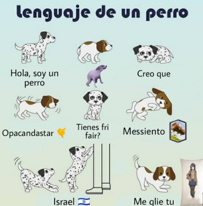 Lenguaje de perro - meme