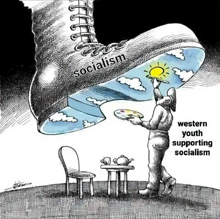 Socialism Destroys - meme