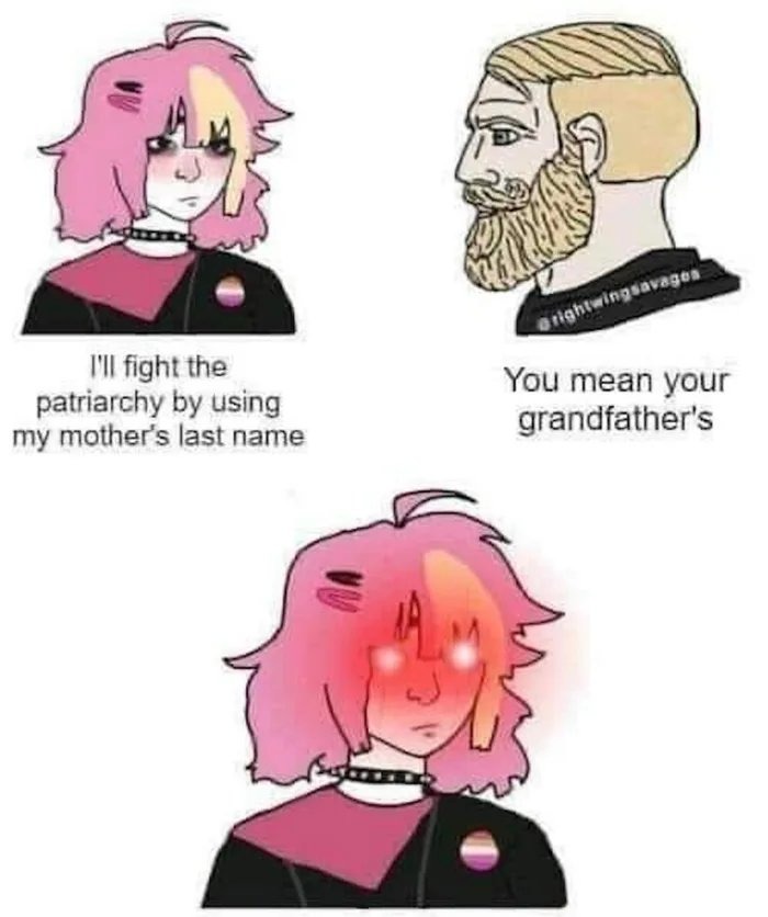 Feminism - meme