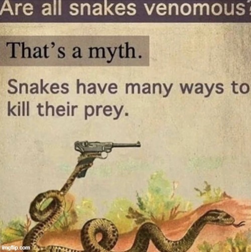About snakes - meme