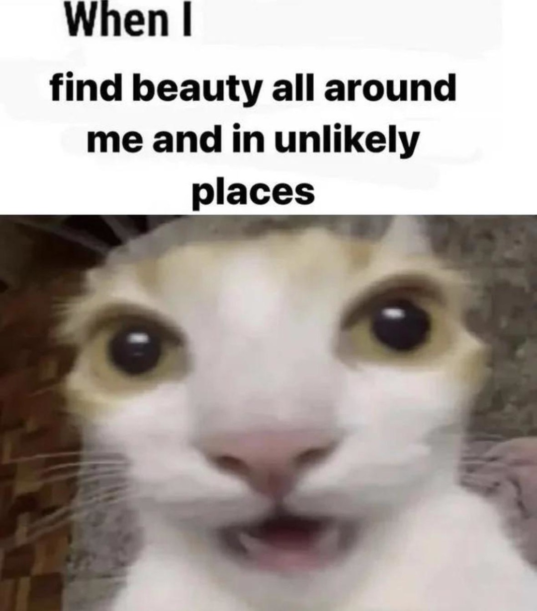 Hopecore meme
