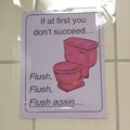 Flushy flushy
