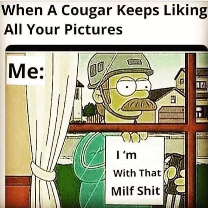 MILF or cougar... explain in the comments - meme