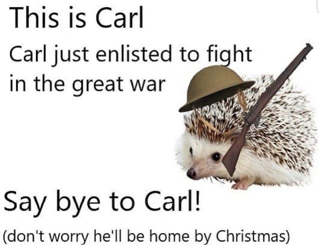Bye Carl - meme