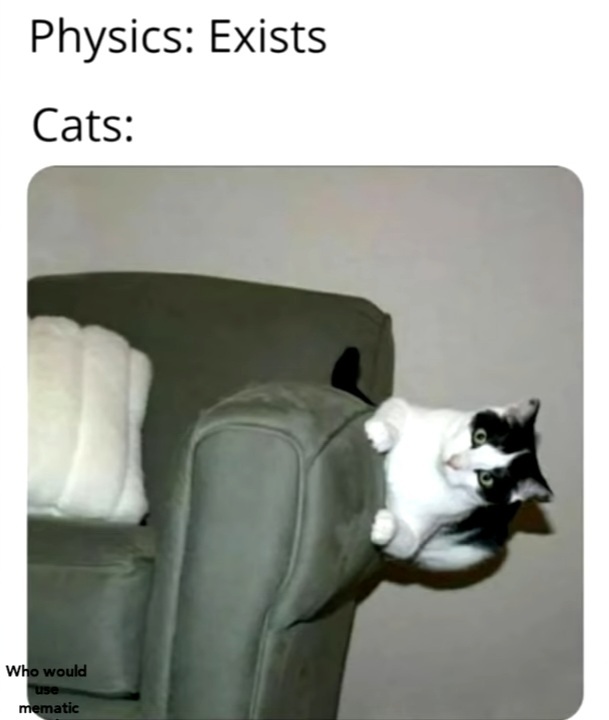 sideways cat - meme