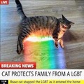 LGBT.